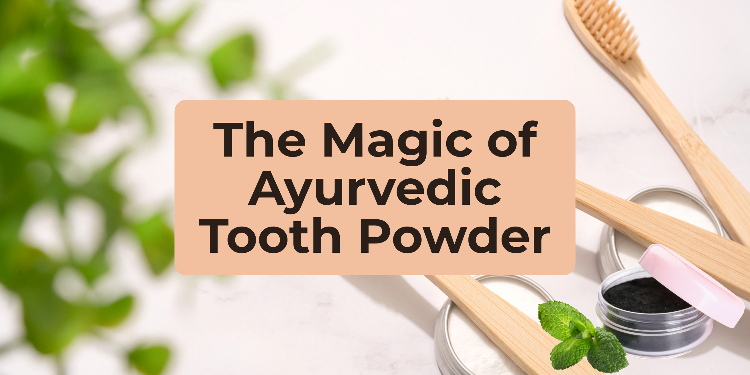 Tooth Powder