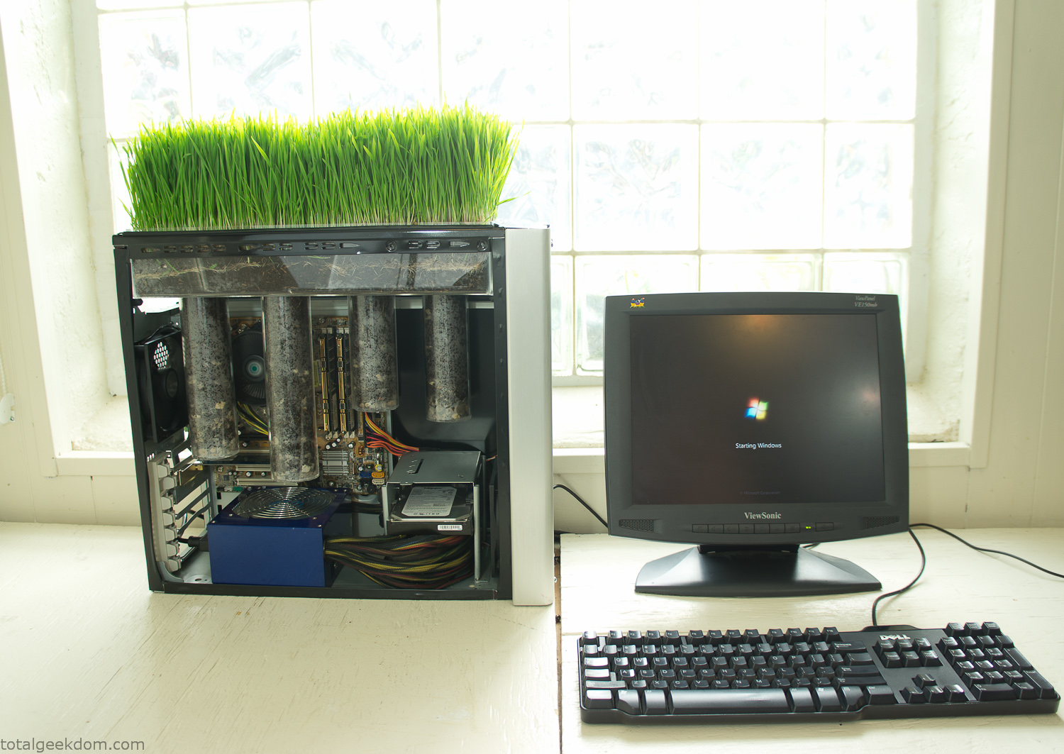 Bio Computer Living Grass Computer Total Geekdom