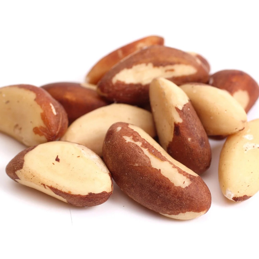 Bulk Brazil Nuts Wholesale Supplier, Importer and Distributor Totally