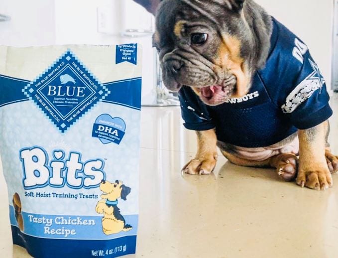 Blue Buffalo Dog Treats New HighValue Stack at Target
