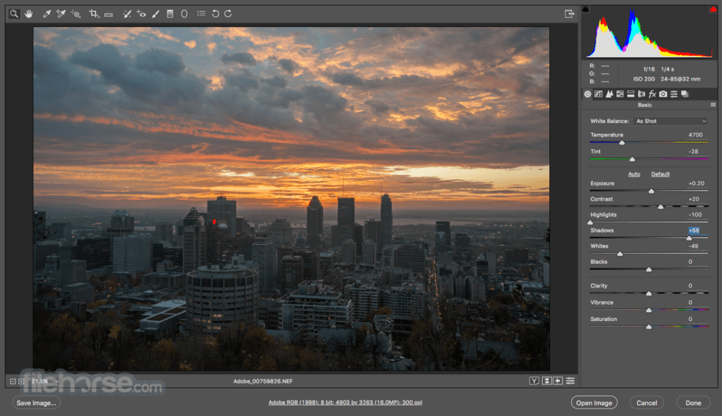 Programma Download di Adobe Camera Raw (2019 più recente) per Windows