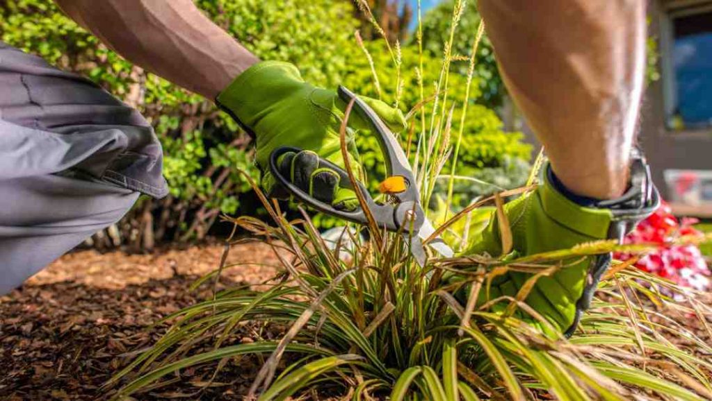 Comment aide à la personne jardinage