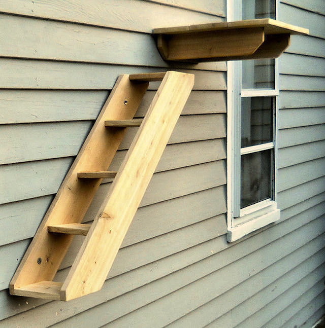 Outdoor Cedar Cat Perches, Ramps from Touchstone Pet