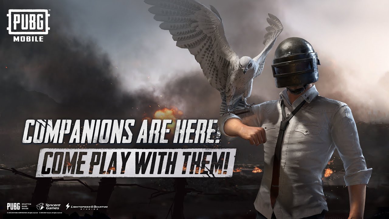 PUBG Mobile How to get Flacon Companion bird pet Touch