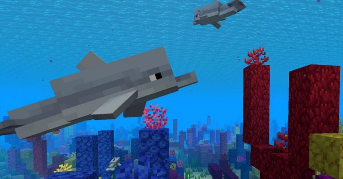 What Do Dolphins Eat in Minecraft? Answered Touch, Tap, Play