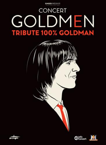 La Musique De Goldman En 2022 Au Zénith De Toulouse - Toulouseblog.fr