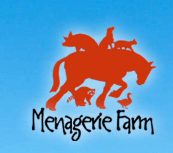 Summer Day Camp Tour Collierville