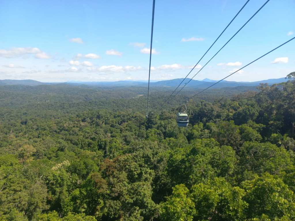Why you should do Kuranda Tour (Train and Skyrail)