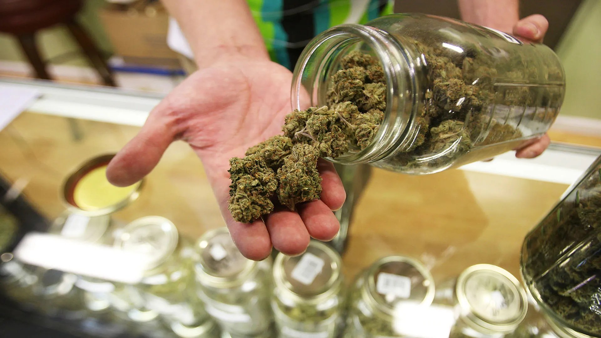 Navigating the Legal Terrain of Marijuana Shops and Cannabis Cafes in