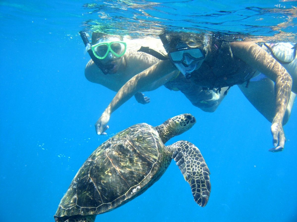 Oahu Snorkeling The 5 Best Spots You Should Never Miss TouristSecrets