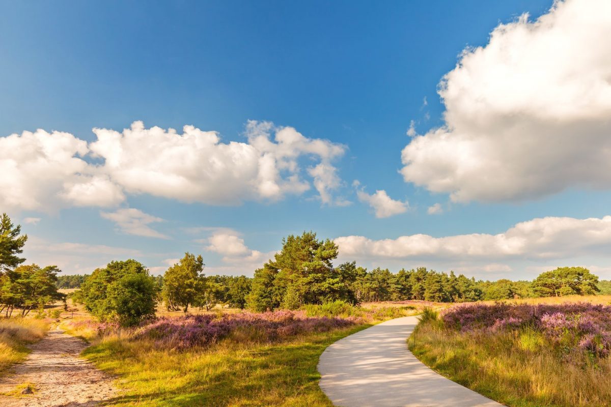 Hoge Veluwe National Park All You Need To Know TouristSecrets