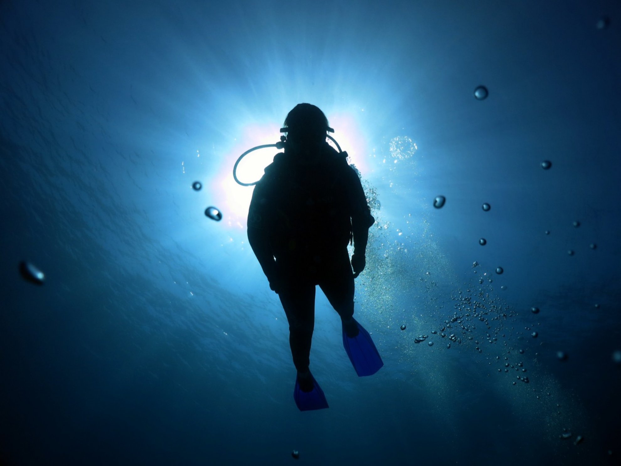 How Does Scuba Diving Work TouristSecrets
