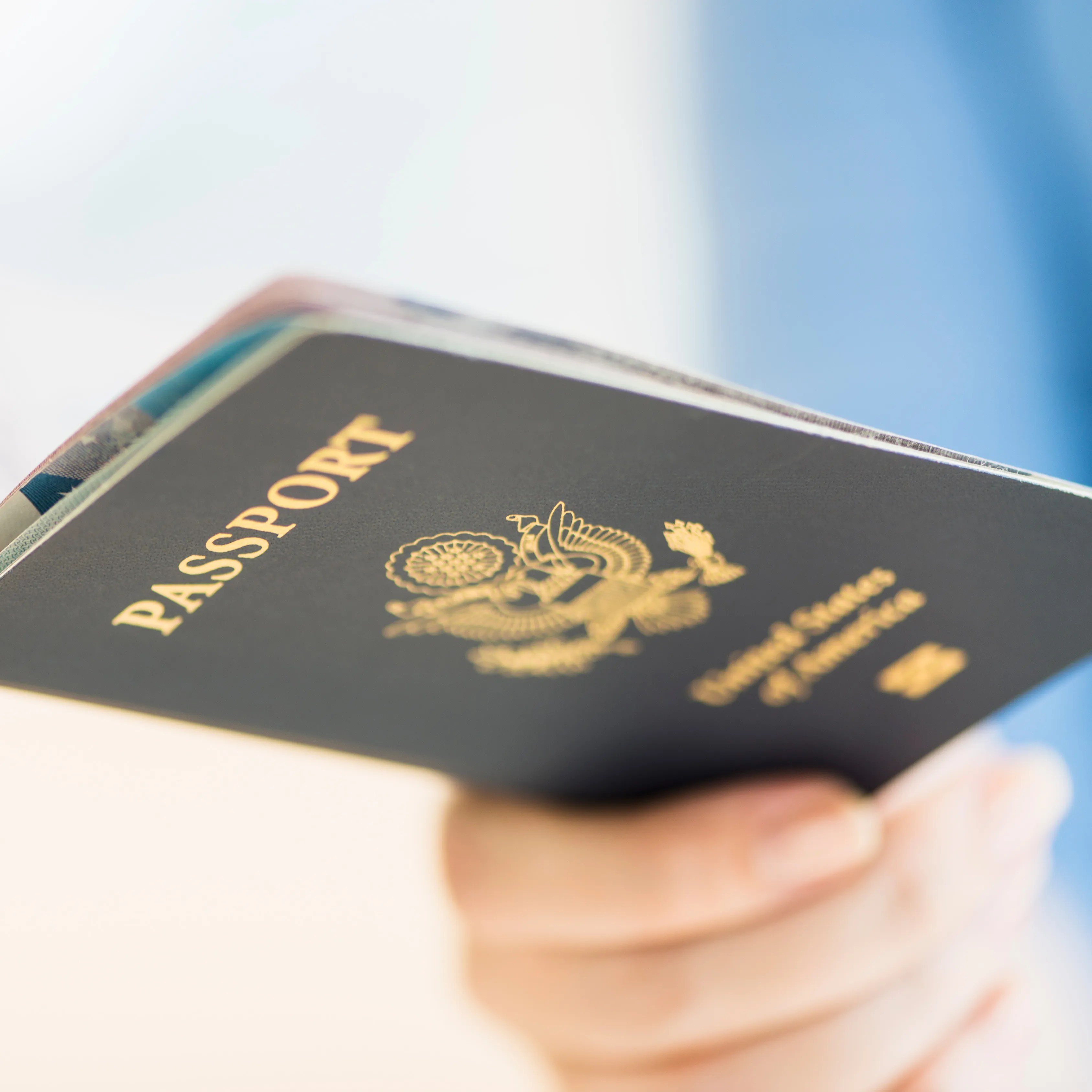 Understanding Passport Status Availability TouristSecrets