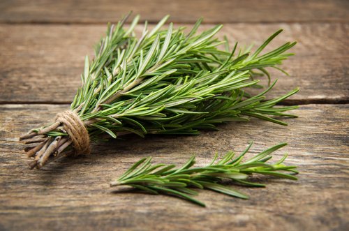 Romarin une herbe aromatique prometteuse, vertus et