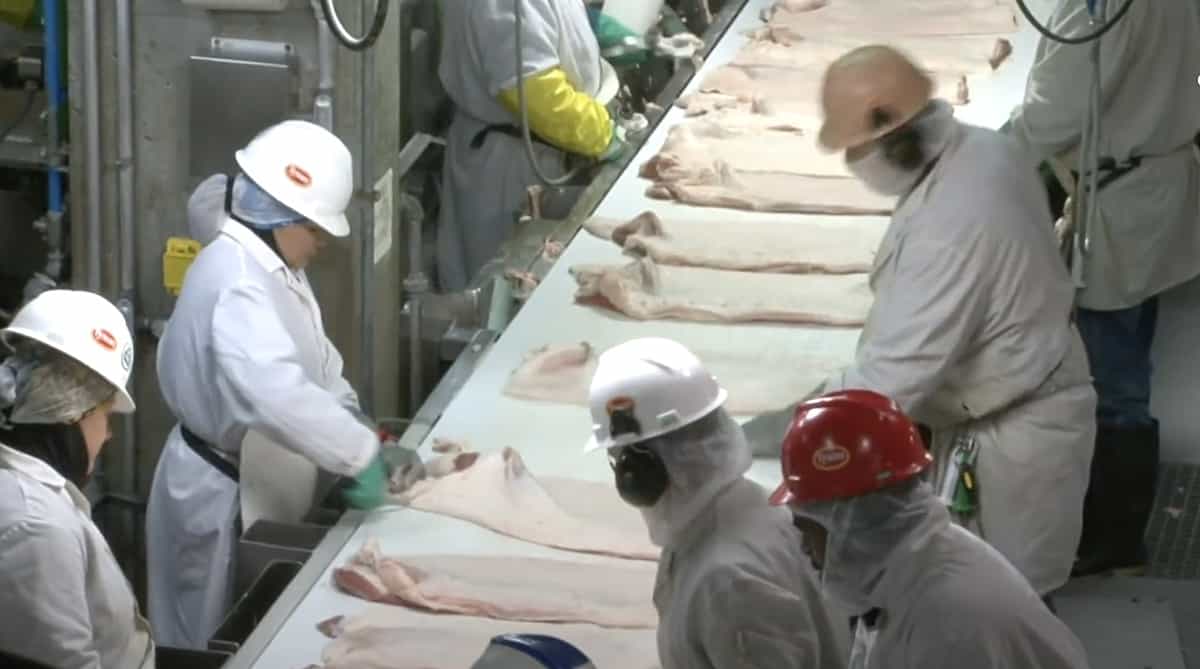 Tyson Foods Managers Bet Money On How Many Workers Would Contract COVID