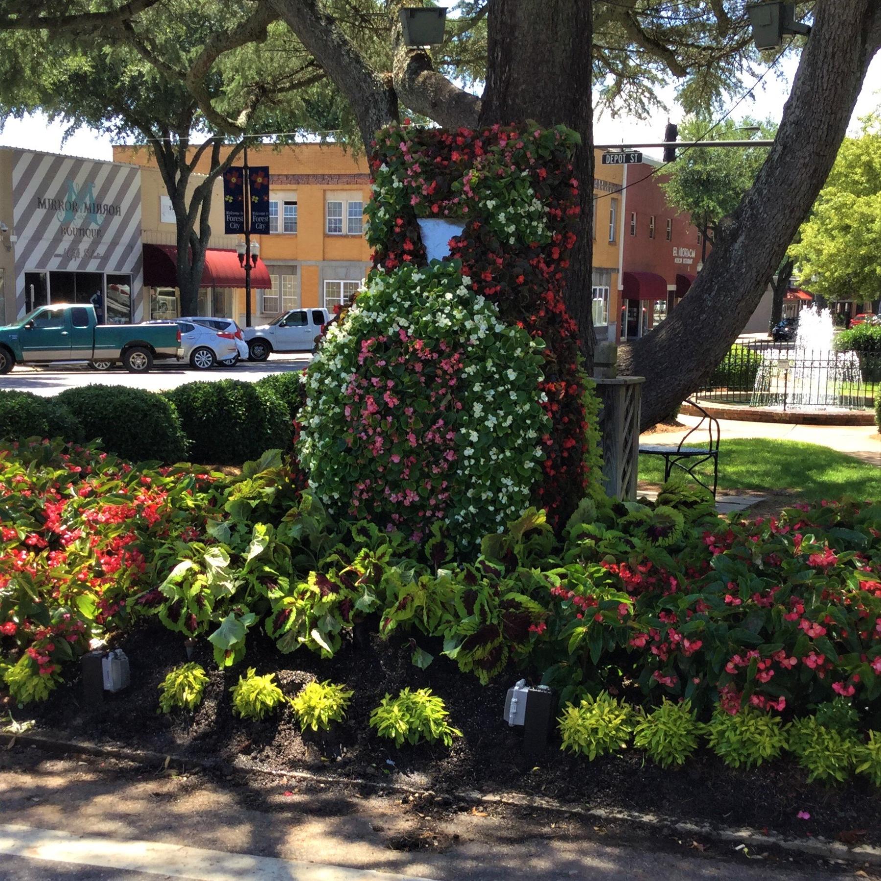 Things to See Town of Forest City, NC