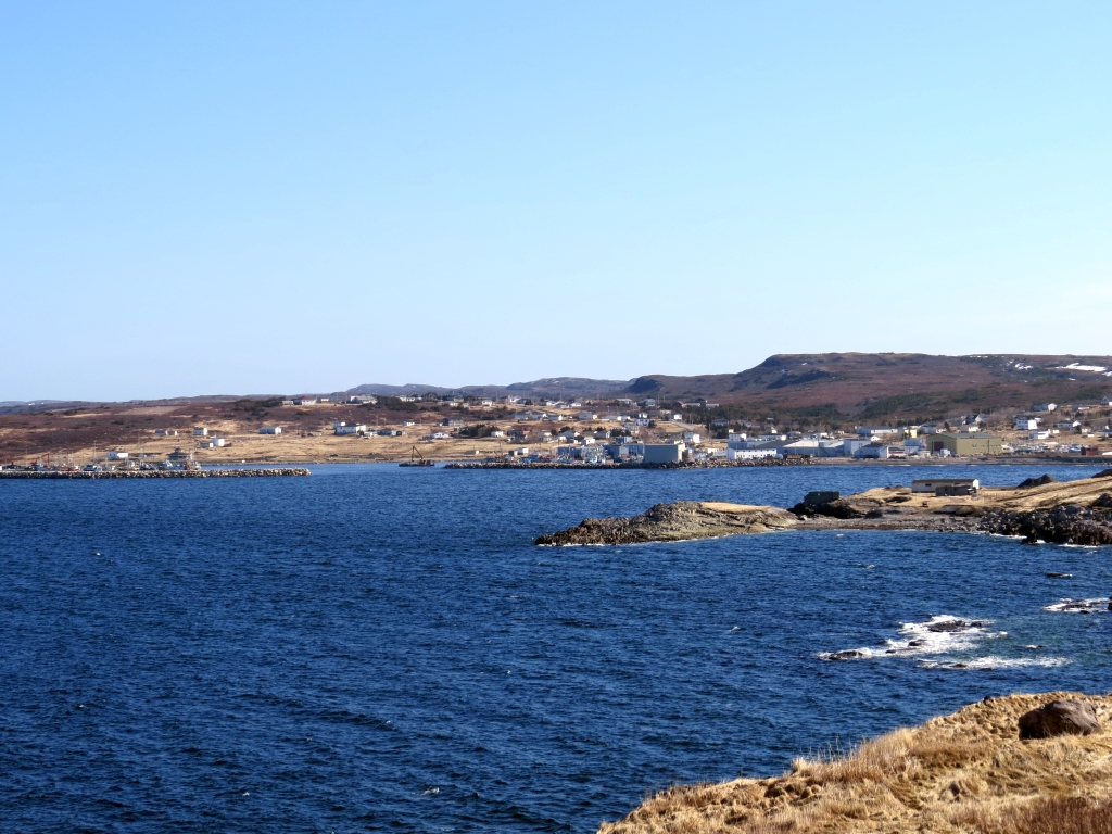 Town of Old Perlican Photo Gallery