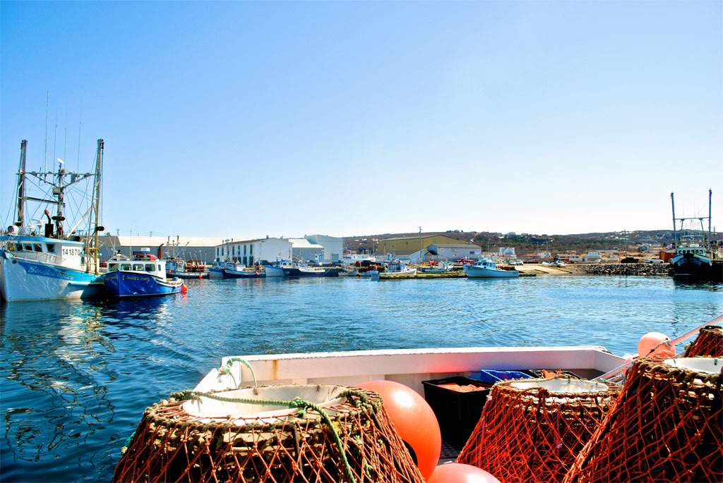 Town of Old Perlican Photo Gallery