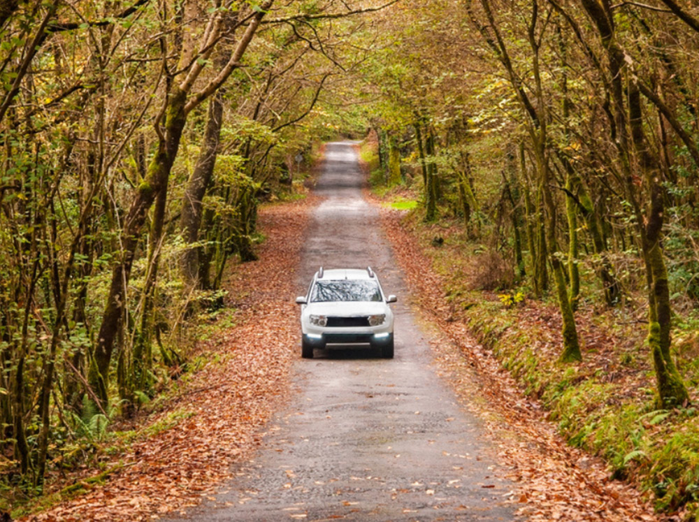 5 Defensive Driving Tips to Reduce Accidents & Save Lives, Time and