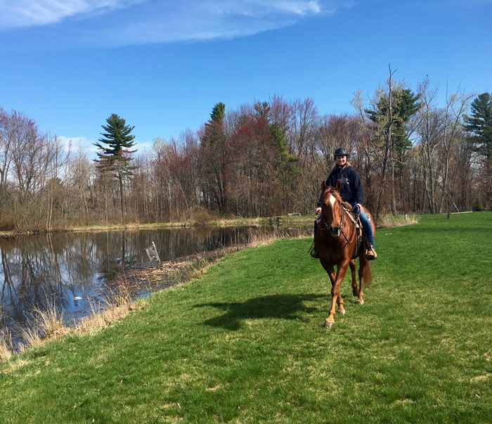 OUR WINNERS Townsend's Training Farm Inc. 536 4th Range Rd