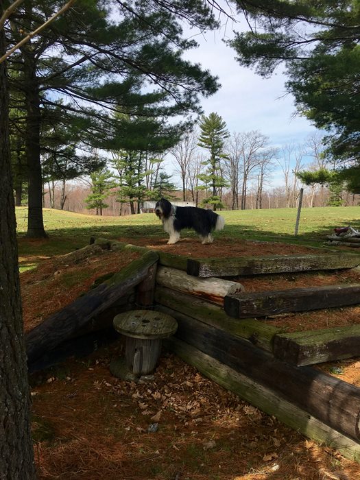 OUR WINNERS Townsend's Training Farm Inc. 536 4th Range Rd