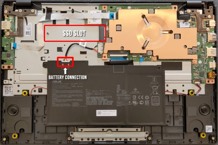 How to upgrade Asus Vivobook L410M Hard Drive or RAM ToxicNerd