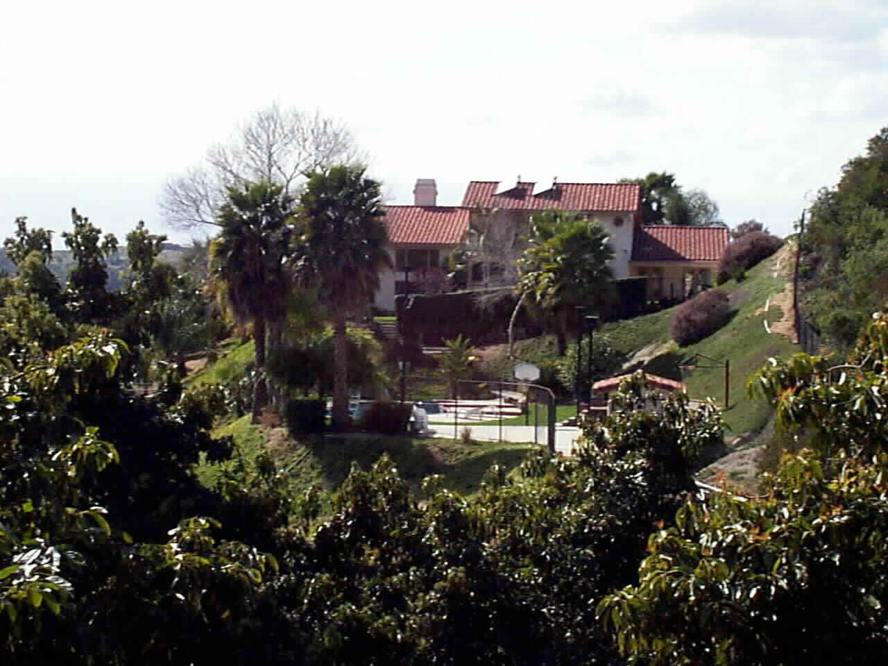 Bonsall's Eagles Perch