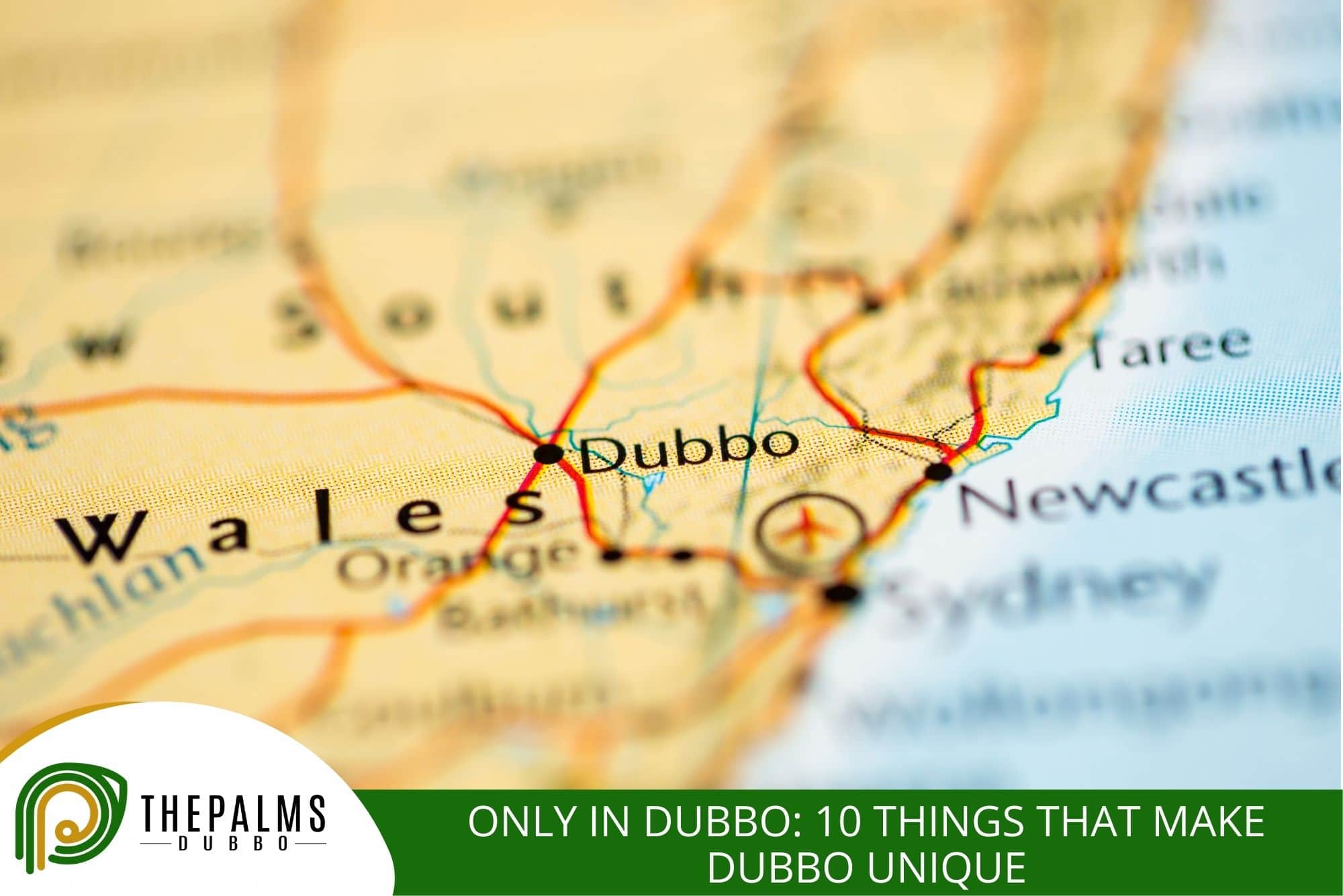 Only in Dubbo 10 Things That Make Dubbo Unique The Palms Dubbo