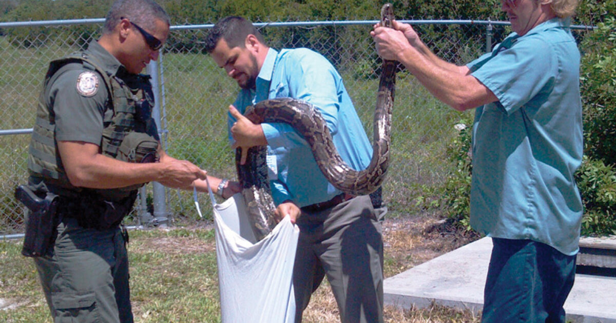 Reptile Wrangler Treatment Plant Operator