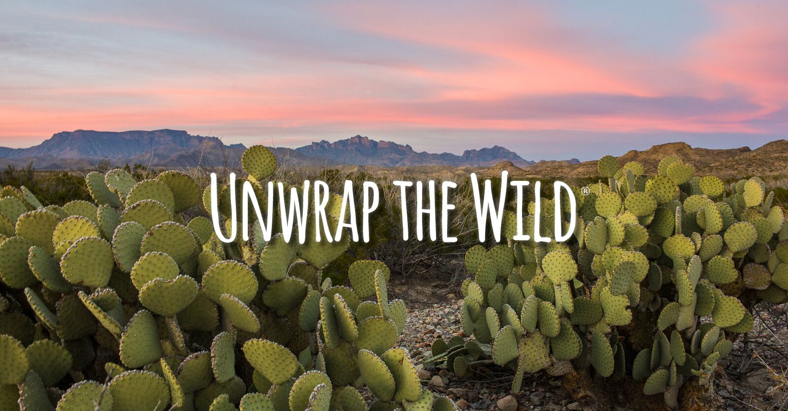 Give the Gift of Texas this Holiday Season Texas Parks and Wildlife