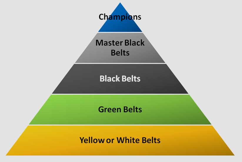 Which Lean Six Sigma Course Should You Opt For? TQMI