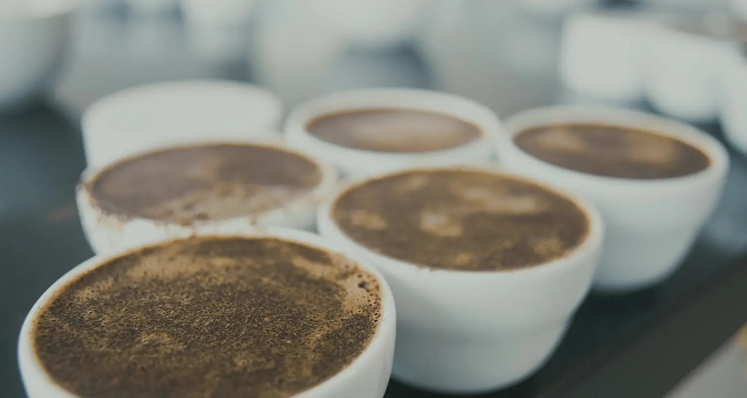 Coffee quality and control Trabocca In pursuit of great coffee