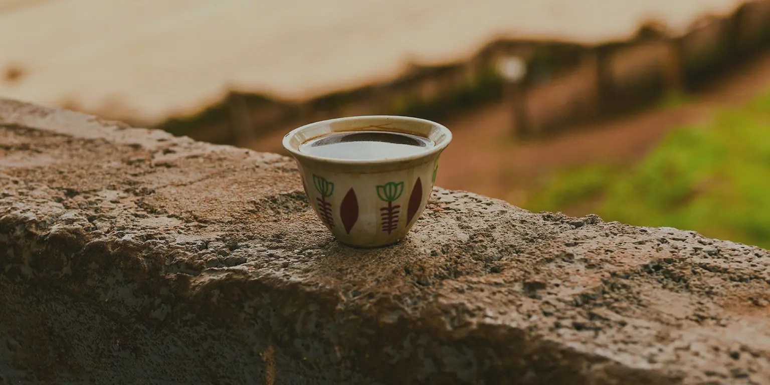 Coffee knowledge for coffee roasters and green buyers Trabocca