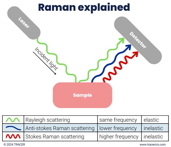 Raman Spectroscopy & Microscopy Fastest CRO TRACER