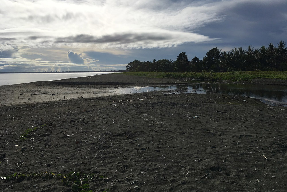 Alligator Creek Tenaru