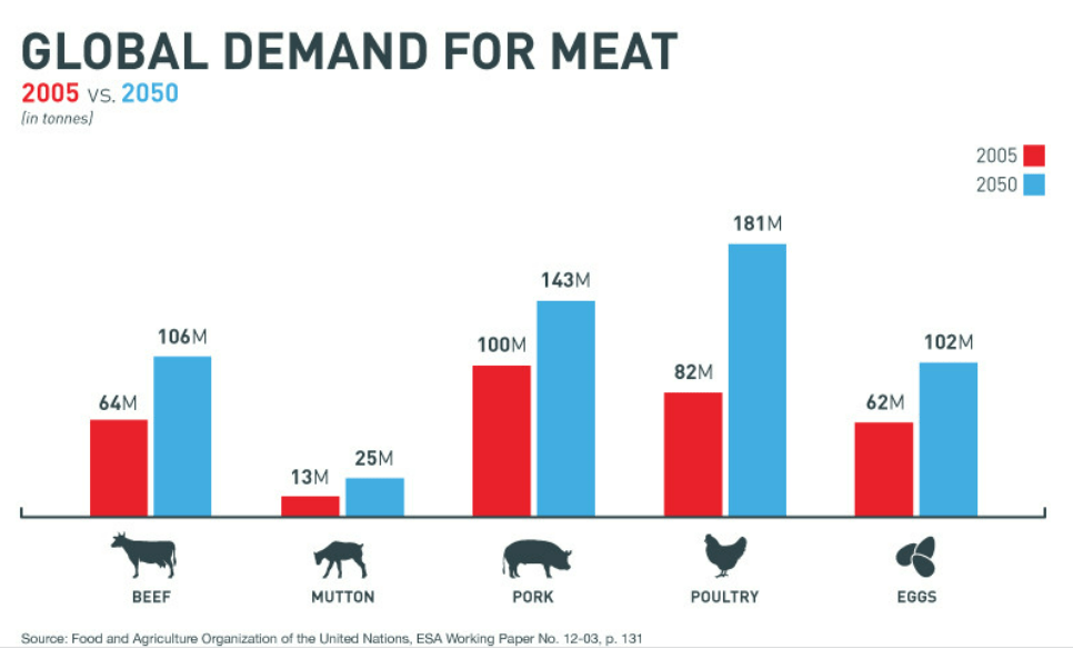 Importance of Meat Traceability Blockchain for Food Safety