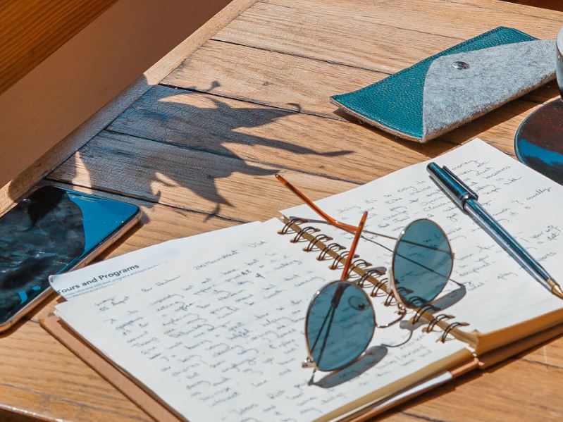 Diary vs. Journal What's The Difference? (Answer + Examples)