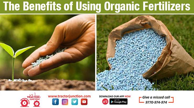 The Benefits of Using Organic Fertilizers Organic Vs