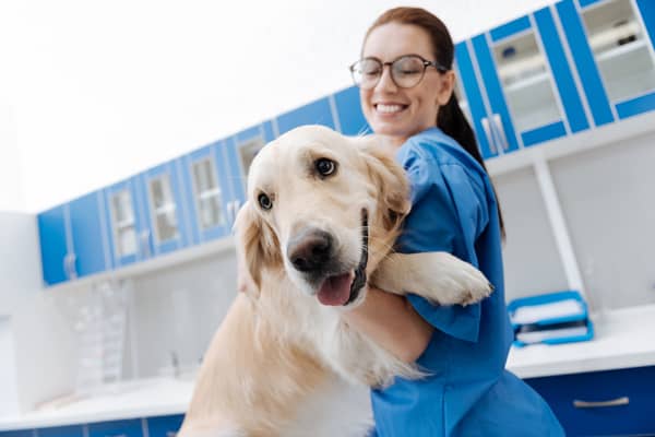 Canadian Veterinary Assistant Schools Animal Care Programs