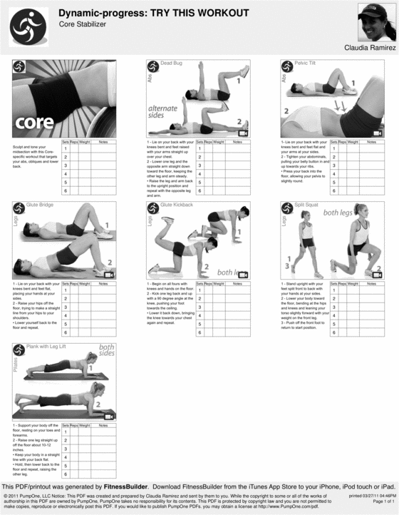Dynamic Progress Core Stabilizer Workout Tradebit