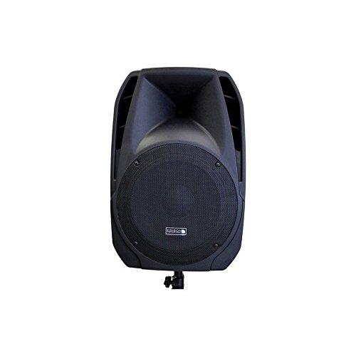 Edison Professional M-2000 Plus 500 RMS 2000W Peak 15" High Power PA