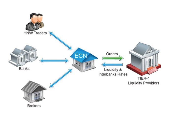 Forex Broker Models ECN tradersdna resources for traders