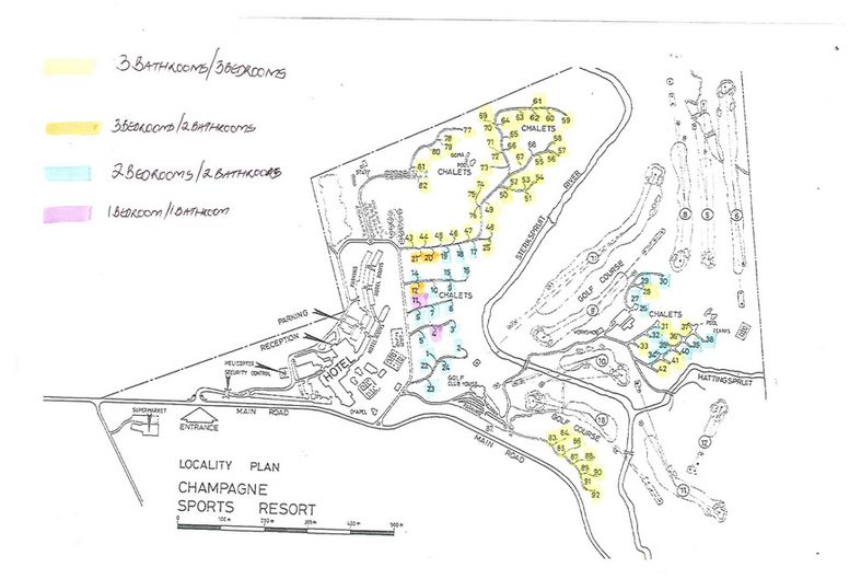 GoMelo Champagne Sports