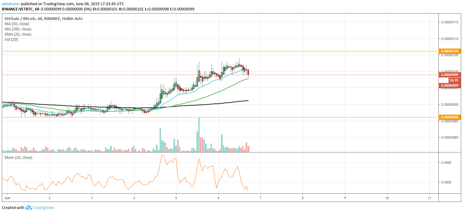 Vechain (VET) Price Analysis and Prediction Mini Bull Run Reached An