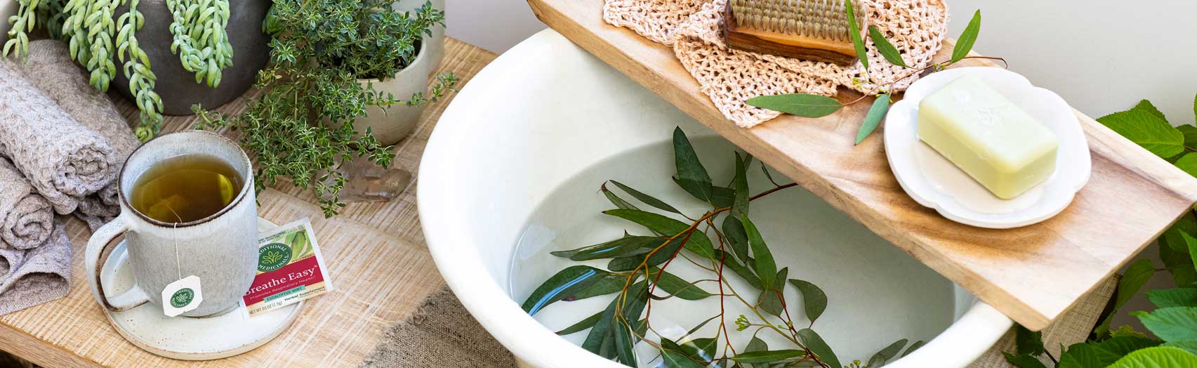 Herbal Rituals for Respiratory Support Traditional Medicinals