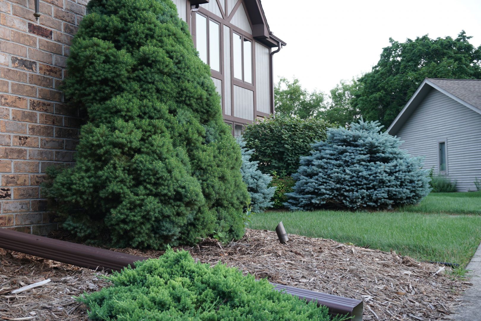 Rise and Shine Landscape Lighting Display Waukesha, WI