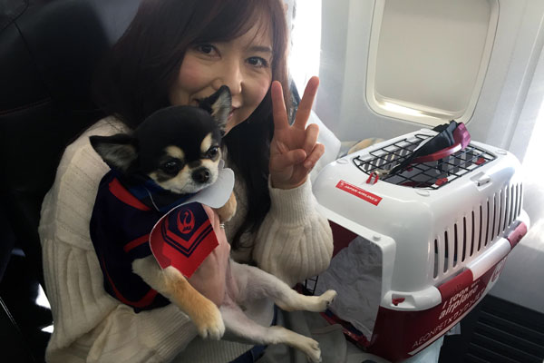 JALとイオンペット、愛犬と機内に搭乗できる「ワンワンJET」第2弾 沖縄4日間を実施 TRAICY（トライシー）