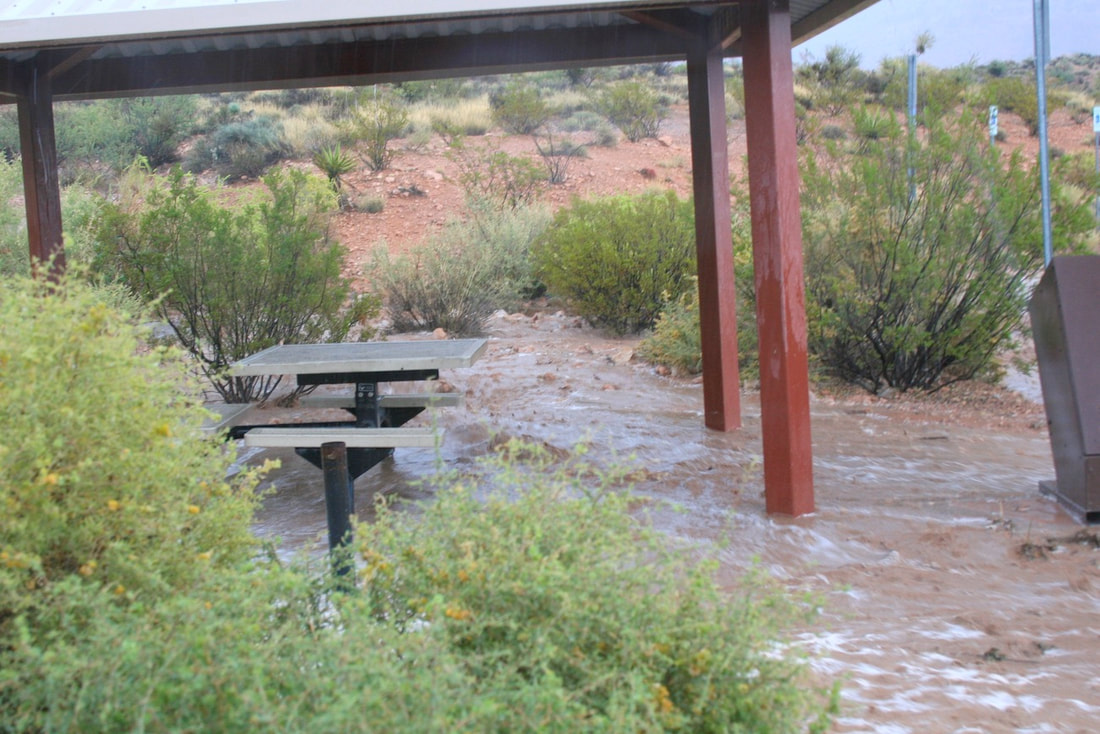 Red Spring Boardwalk at Red Rock Canyon National Conservation Area, Las