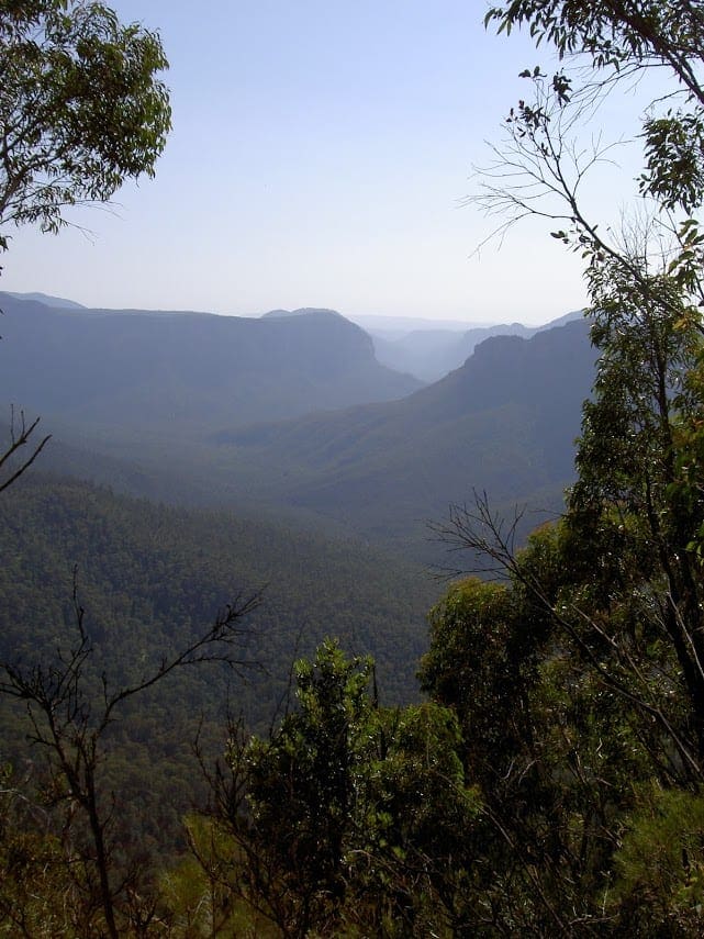 Pulpit Rock to Evans Lookout Cliff Top Track (6.6km) Blue Mountains