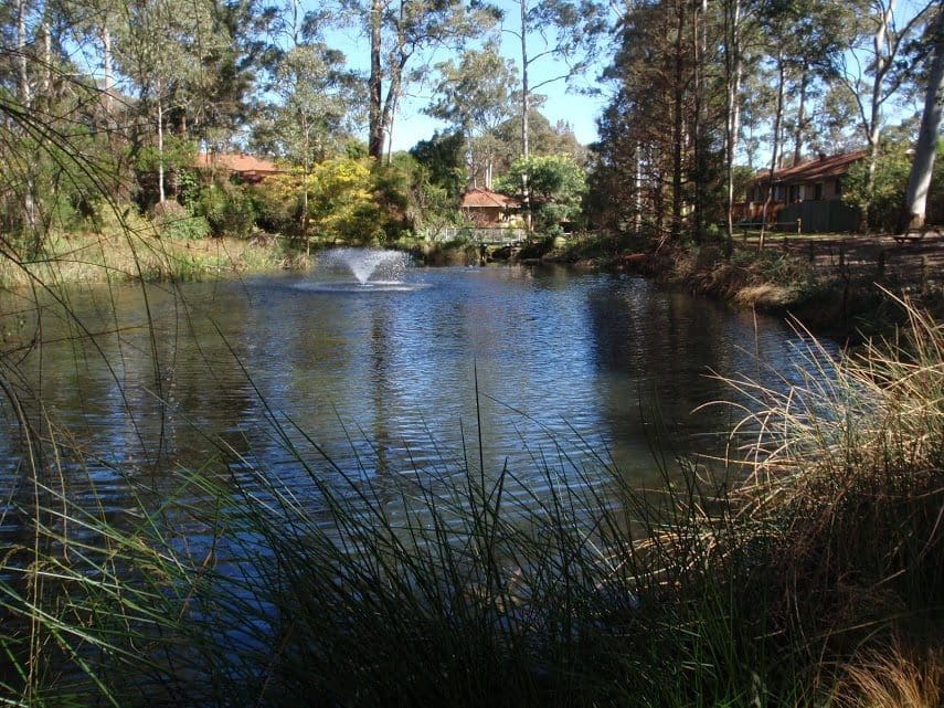 The Lakes of Cherrybrook Loop Walk (400m) Cherrybrook, NSW